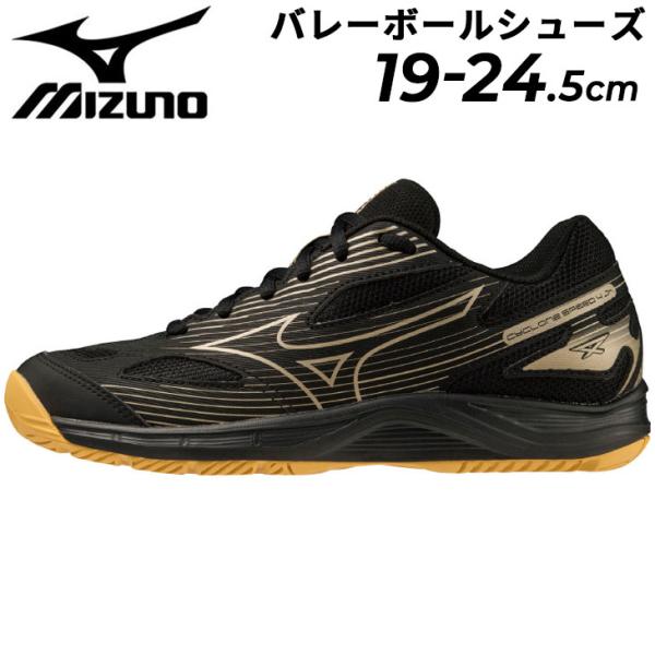 apworld_v1gd2310