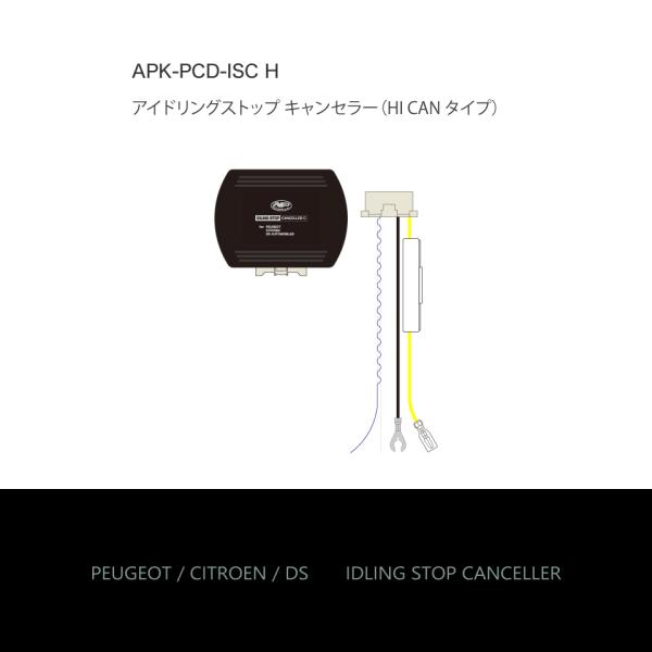 apy_apk-pcd-isc_3_d_20240710180849