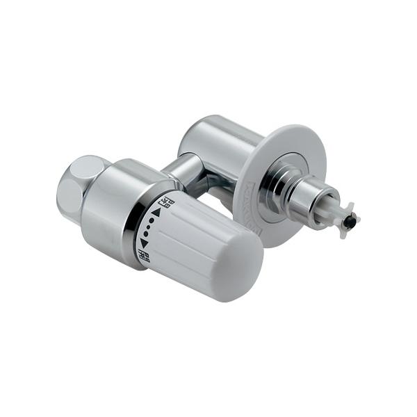ブラジル産　ベリコサスニジダイコクコガネ　ペア　32mm 27mm カクダイ（KAKUDAI） 788-803 分水孔コック(ニップルつき) : AQ