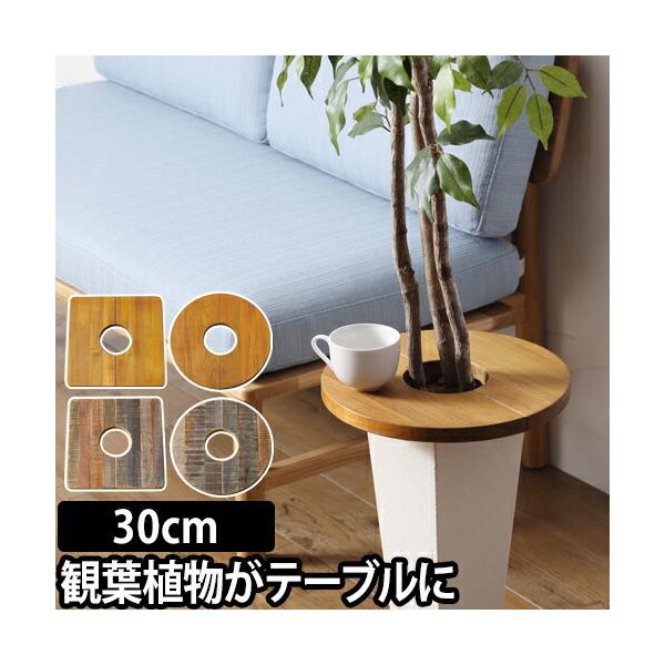 プランツテーブル 30cm Plants Table 小 観葉植物 ウッド ミニテーブル