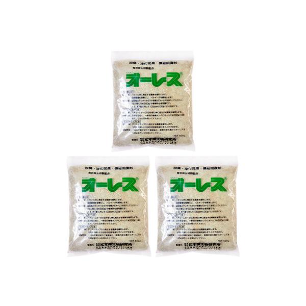 I[X500 (500g) 3܁@򉻑i 򉻑piL f 򉻑pf u[ GA[|v GA|v