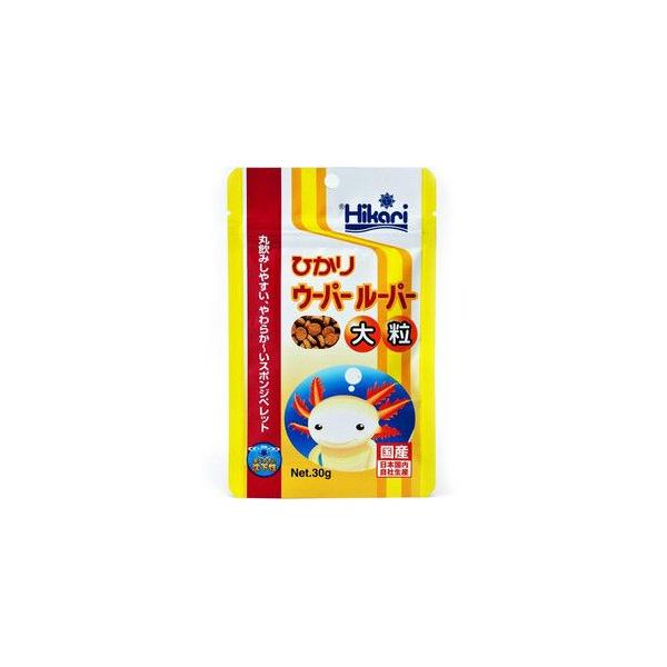キョーリン ひかりウーパールーパー 大粒 30g