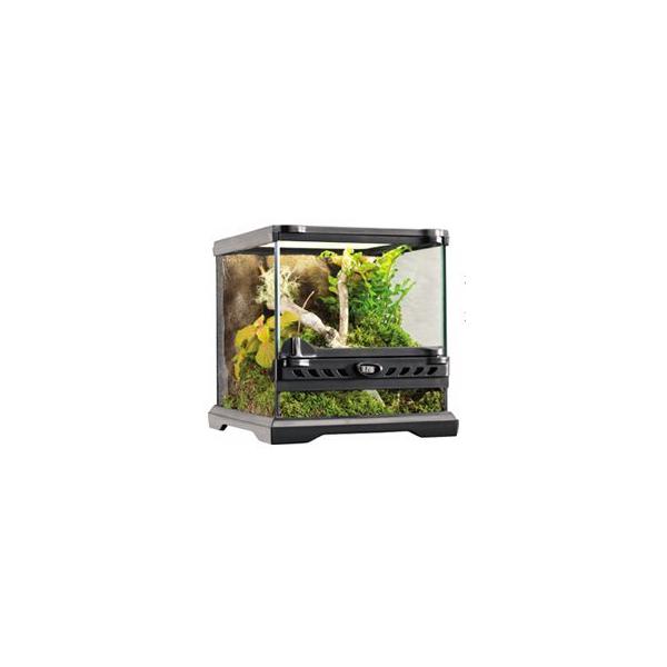 グラステラリウム　ナノ　GEX Amazon | GEX EXOTERRA グラステラリウム ナノキューブ PT2599