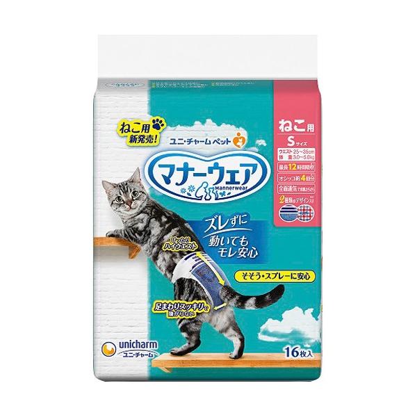j`[@}i[EFA ˂p Lpނ STCY@16