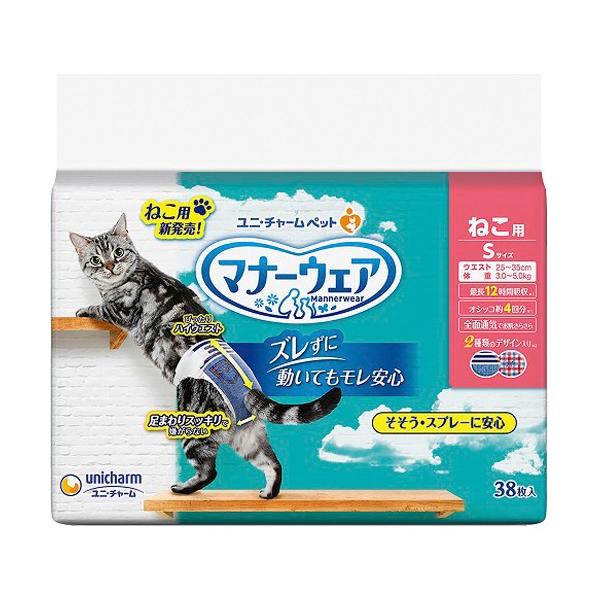 j`[@}i[EFA ˂p Lpނ STCY@38