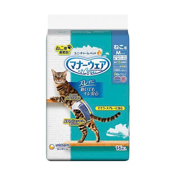 j`[@}i[EFA ˂p Lpނ MTCY@16