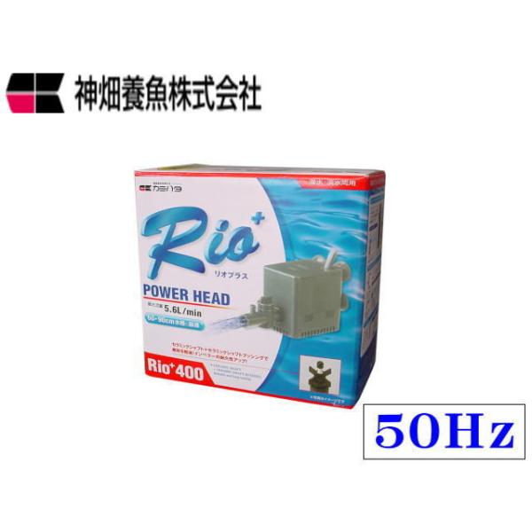 カミハタ Rio+400 50Hz リオプラス 水中ポンプ 送料無料 管理60