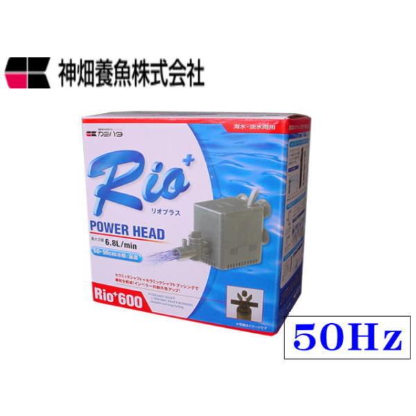カミハタ Rio+600 50Hz リオプラス 水中ポンプ 送料無料 管理60