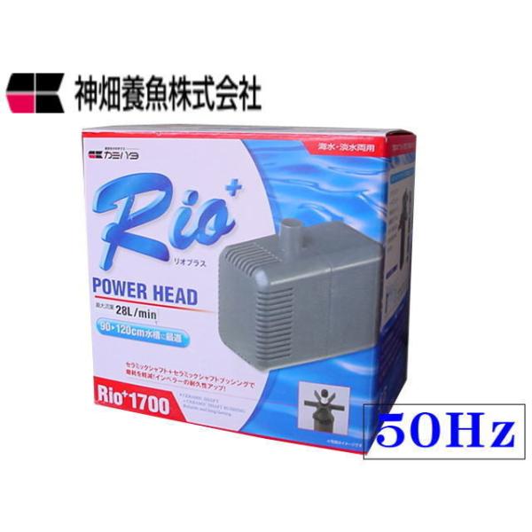カミハタRio 水中ポンプ 5個セット カミハタ Rio+1700 50Hz リオプラス 水中ポンプ 送料無料 管理60