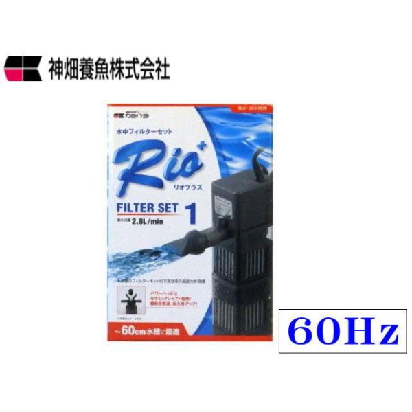 カミハタ Rio+フィルターセット1 60Hz : アクアクラフト - 通販