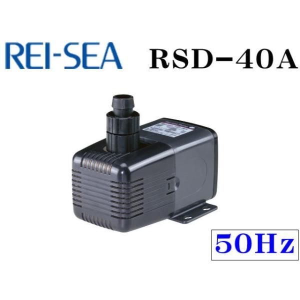 レイシー RSD-40A 50Hz 水陸両用ポンプ 流量毎分40L 送料無料 管理80