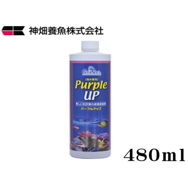 商品名：カミハタ　パープルアップ480ml海水水槽内で枯渇しやすいヨウ素を供給します。ライブロック表面を彩る、ピンクや紫色の石灰藻の成長に必要なカルシウム、ストロンチウム、ヨウ素、微量元素をまとめて供給します。ライブロックにすでに生息してい...