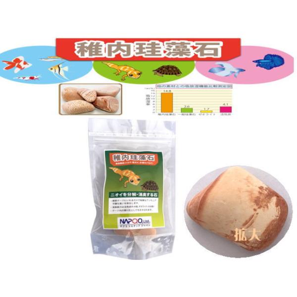 商品名　稚内珪藻石　爬虫類用※ポスト投函ヤマト運輸【ネコポス発送】商品です。脅威の吸着能力で知られる稚内珪藻石アンモニアを細孔内に物理吸収した後、細孔内にある微量金属成分により、外に放出させずに分解します。・飼育水に入れるだけで有害なアンモ...