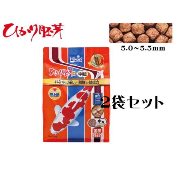 ひかり胚芽 浮上 中粒 1.2kg 2袋セット キョーリン 錦鯉 鯉餌 小麦胚芽 増体効果 白地仕上げ 良消化 ひかり菌