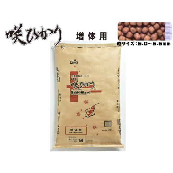 咲ひかり 増体用 浮上 M 15kg キョーリン 生菌剤 ひかり菌 錦鯉用飼料 増体効果 良消化 錦鯉 餌 エサ【お取り寄せ商品】