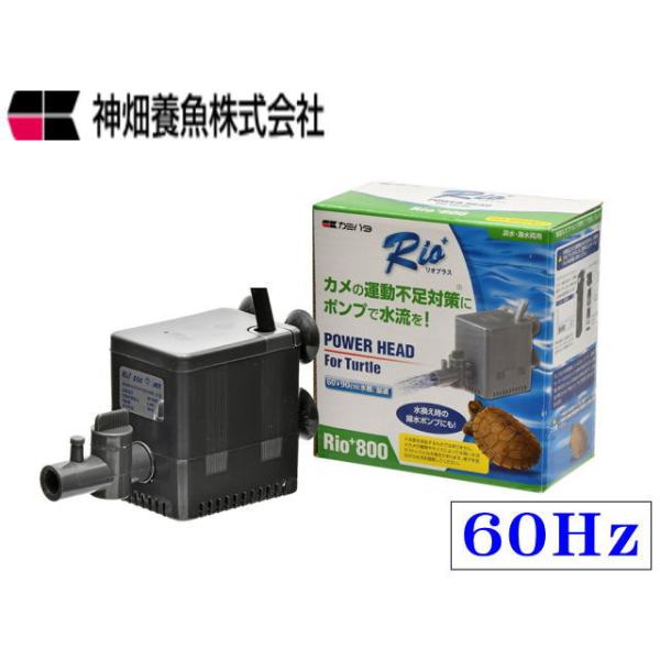 商品名：リオプラスタートル800　60Hz西日本専用一度太ると厄介な水棲ガメ、太らせないよう餌の量を調整するのが第一ですが、ポンプで適度な水流をつけることで、限られた飼育スペースでも運動量を上げることが期待されます。リオプラスの性能はそのま...