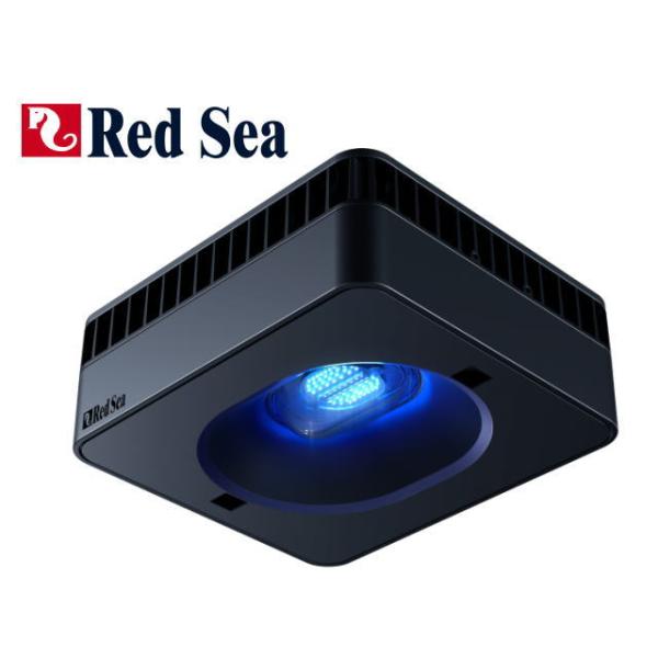 レッドシー ReefLED G2 170 サンゴ照明 【お取り寄せ商品】送料無料