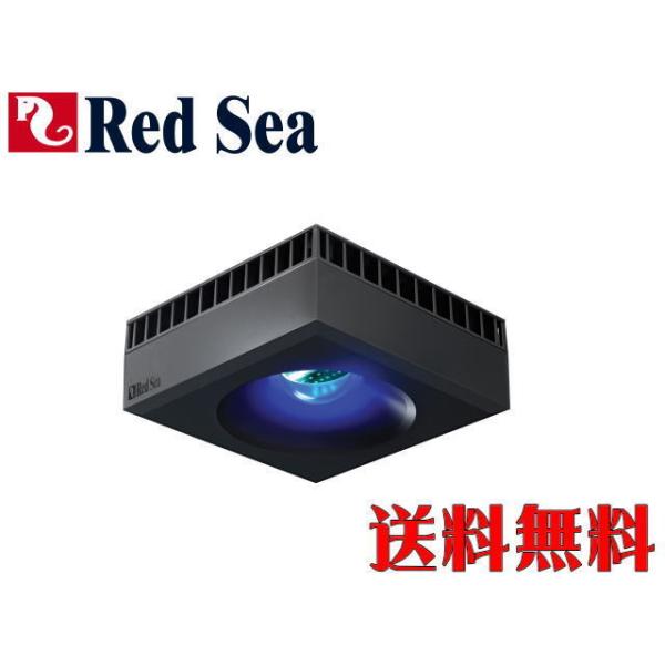 レッドシー ReefLED 50 海水水槽 サンゴ照明 送料無料 管理80 : アクア