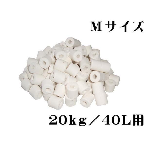 ガラスろ材 リングろ材M 2.5kg 8袋セット 約20kg ろ材 やまと錦 ガラスろ材 リングろ材M 2.5kg 8袋セット 約20kg ろ材 やまと錦