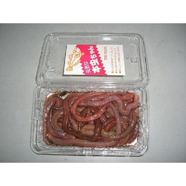 特選 本虫 約100g入り 在庫はお問い合わせください 103 アクアキューブyahoo店 通販 Yahoo ショッピング