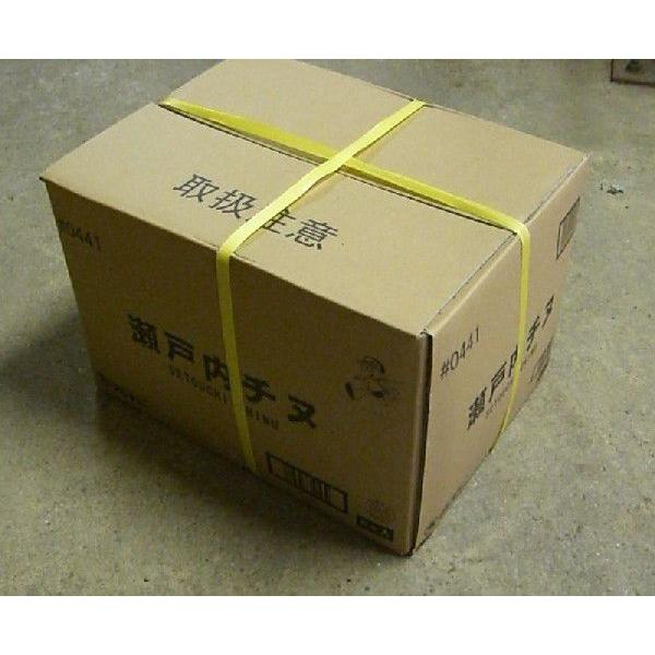 釣りえさ　マルキュー　瀬戸内チヌ　4k×6袋入り／ケース売り
