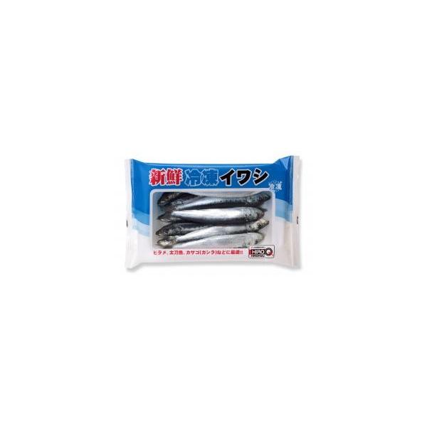 産地で水揚げされた新鮮なマイワシを急速冷凍しました。身が硬く針持ちが良いので、船からの大物釣り、海上釣堀などに最適です。ご使用方法として、基本自然解凍いたしますがお急ぎの場合は、完全に解凍せず、芯が少し硬いくらいからお使いください。