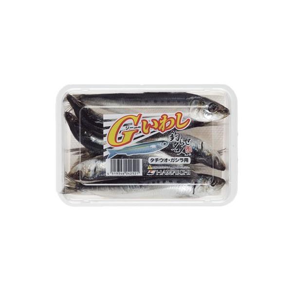 ނ肦@HAMAICHI@GN CV@Ⓚi