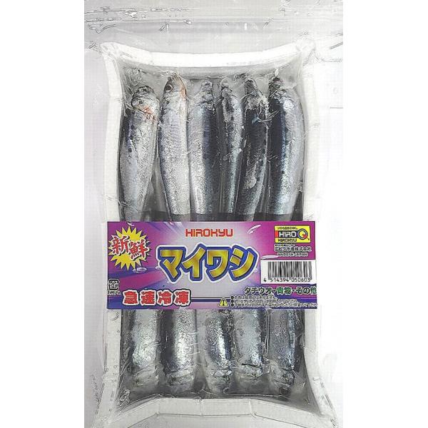 ヒロキュー　冷凍イワシ(マイワシ）徳用真空パック 500g　[冷凍商品]