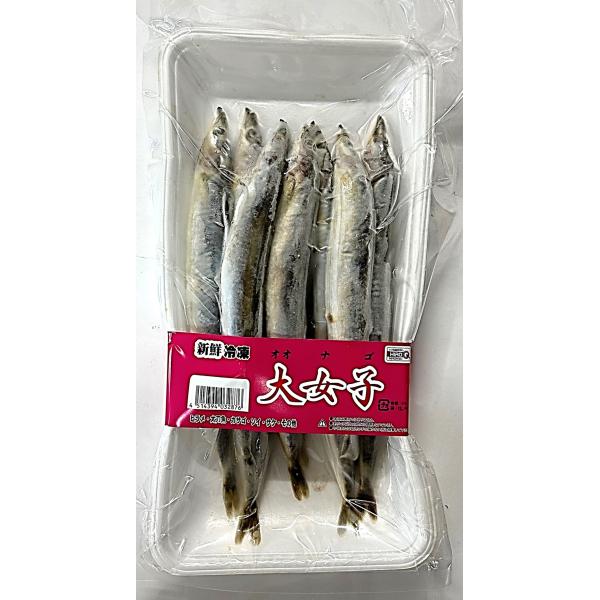 釣りえさ　ヒロキュー　冷凍大女子(オオナゴ）新鮮冷凍　８匹入り