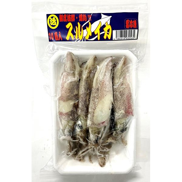 釣りえさ　冷凍スルメイカ 10匹入り　釣りエサ用冷凍イカ　≪アクアキューブオリジナル≫