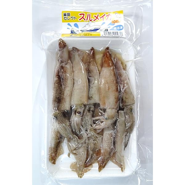 釣りえさ　HAMAICHI　冷凍スルメイカ　10匹入　釣りエサ用冷凍イカ