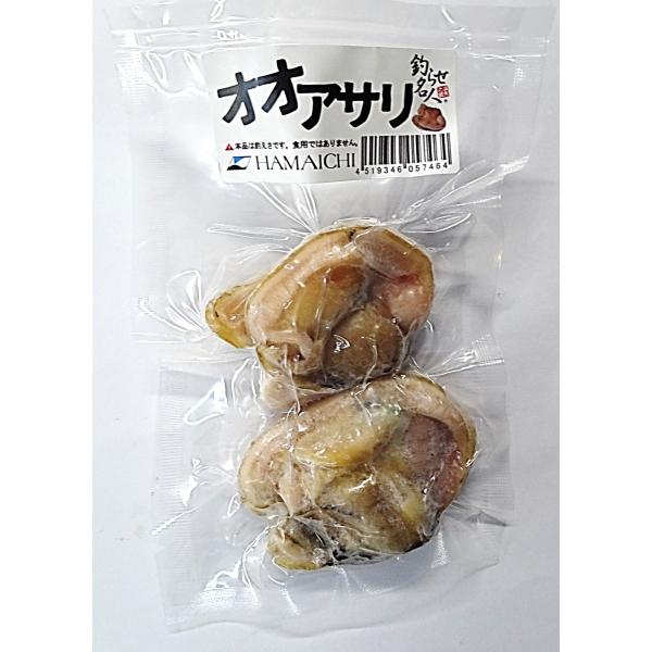 ■大あさり（ウチムラサキ）の剥き身2ケを生のまま真空冷凍。■抜群のエサ持ちの良さを発揮するため、エサ取りが多い場面でも重宝します。■堤防や船釣りは元より、釣り堀などで狙うタイやカンダイ、コロダイからシマアジまで、貝類を好んで食う魚種にお使い...