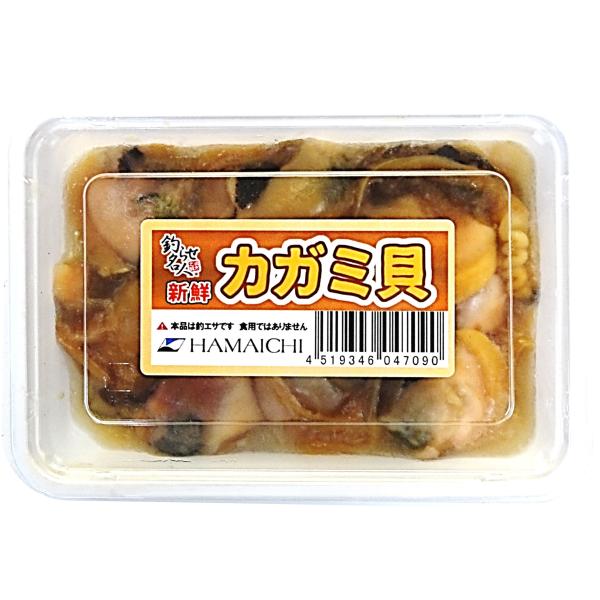 HAMAICHI(ハマイチ) 冷凍カガミ貝 約160〜170ｇ入　フグ・カワハギ向け冷凍ムキ貝