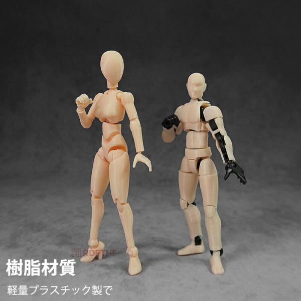 デッサンドール 男女セット台座付き 人形人体 模型 フィギュア