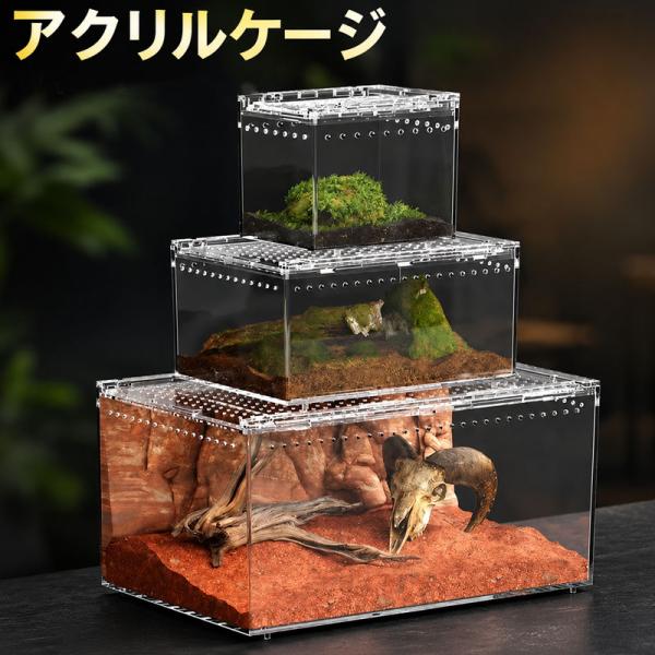 アクリル水槽 爬虫類飼育セット サーモスタット付 爬虫類ケージ アクリル 飼育ケース 透明 前開き 通気性 観察用 防逃