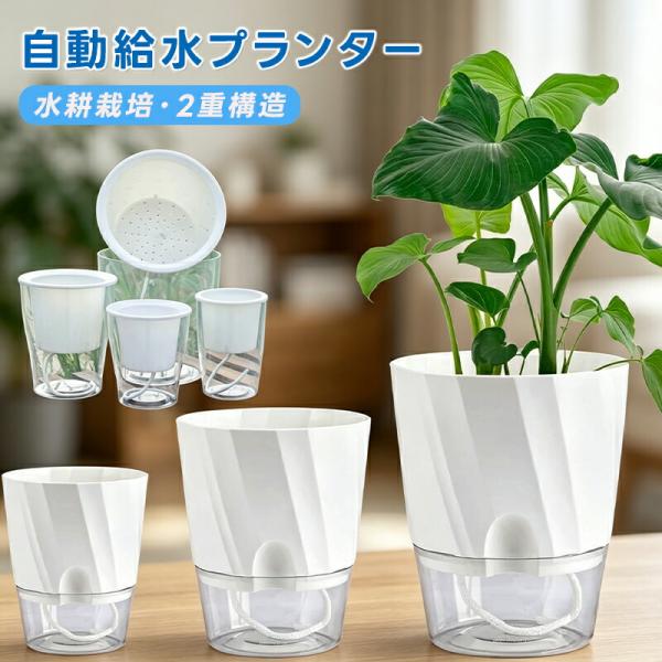 給水プランター 植木鉢 自動給水 自己給水 水耕栽培 観葉植物 底面給水