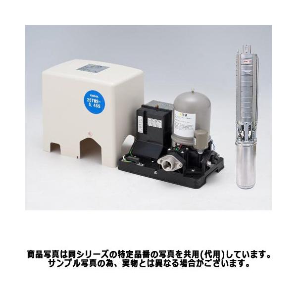 特価】テラル 25TWS-5.37S-9 深井戸用水中ポンプ (370W/単相100V/50Hz
