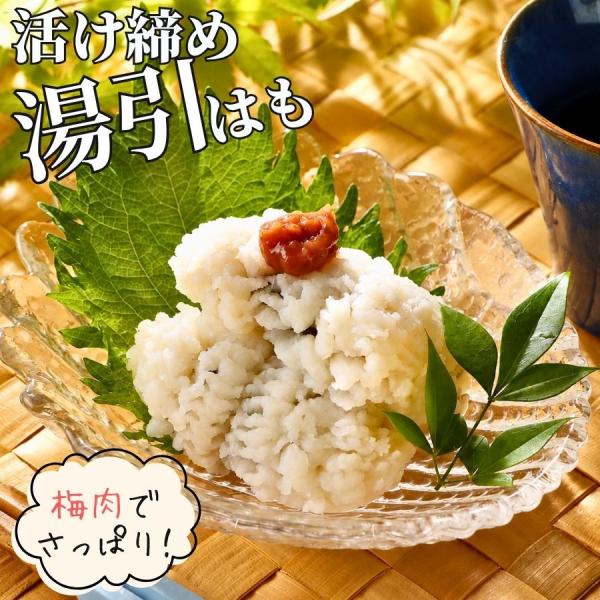 涼を味わう 湯引き鱧 500g  冷凍品 湯引鱧 はも ハモ 湯引き 父の日 刺身 冷凍 お取り寄せ 国産 愛媛 活け締め 骨切り 業務用 送料無料 大容量 ギフト お中元