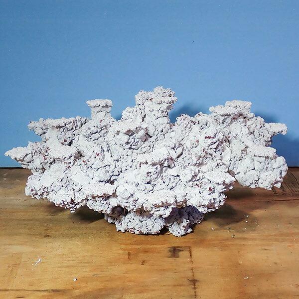 人工ライブロック　ライブロックオーダー品 3】発送要相談 人工ライブロック 擬岩 1ピース 90cm水槽用!【ライブ