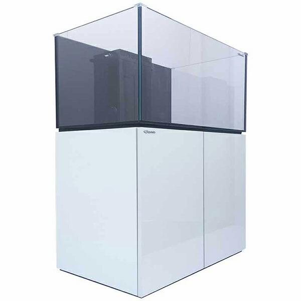 全国配送対応 オーバーフロー水槽 1 横 55 奥 55 高 Cm C 1484 海水魚 サンゴ 生体 C 1484 アクアギフト 通販 Yahoo ショッピング