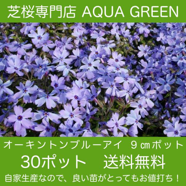 aquagreen_ob30sm aquagreen_ob30sm