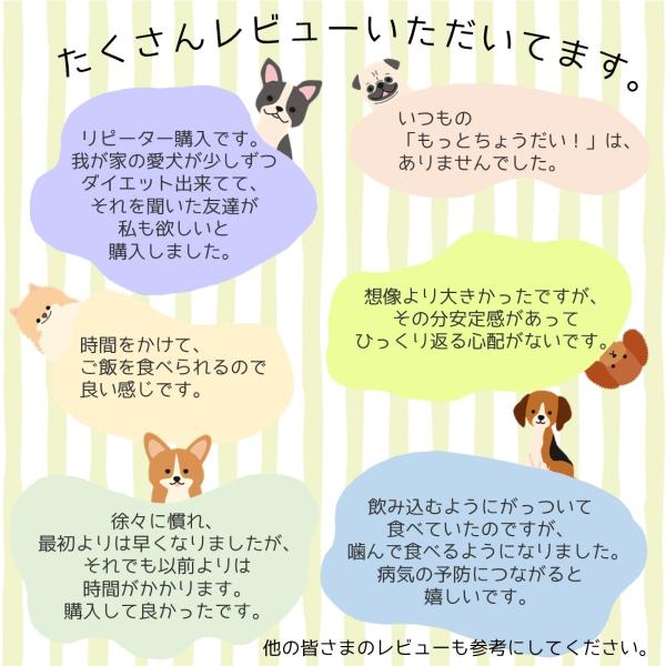フードボウル 早食い防止 食器 大型犬 中型犬 Vit 猫 フードボール 餌入れ 餌皿 ペット Buyee Buyee Japanese Proxy Service Buy From Japan Bot Online