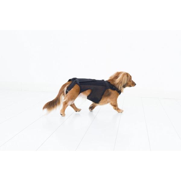 アニフル Anifull わんコルプロ 犬用コルセット 予約 ブラック S