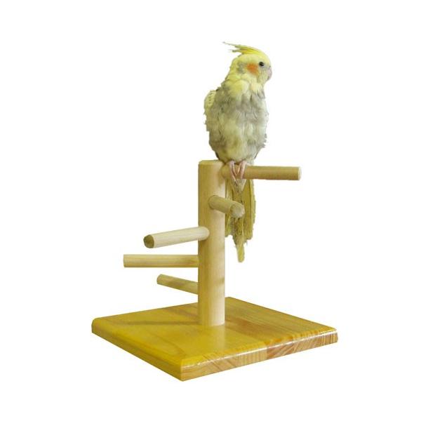  ~܂ / GB [X^h Xebv@̂CR