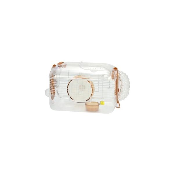 ルックルック・フォーチュン