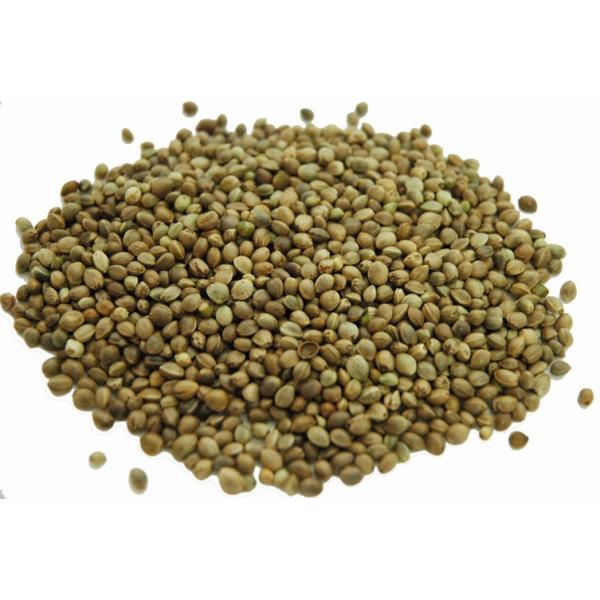 ̉a@ ̎ 600g@CRa@nX^[a