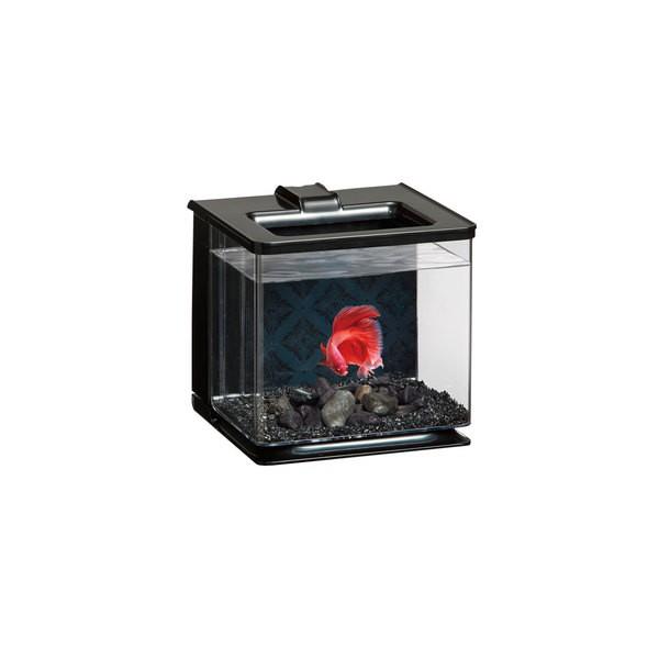 Gex インテリア水槽 楽アクア ブラック 只今 3980円以上で送料無料 4 6 10時まで Buyee Buyee 日本の通販商品 オークションの代理入札 代理購入