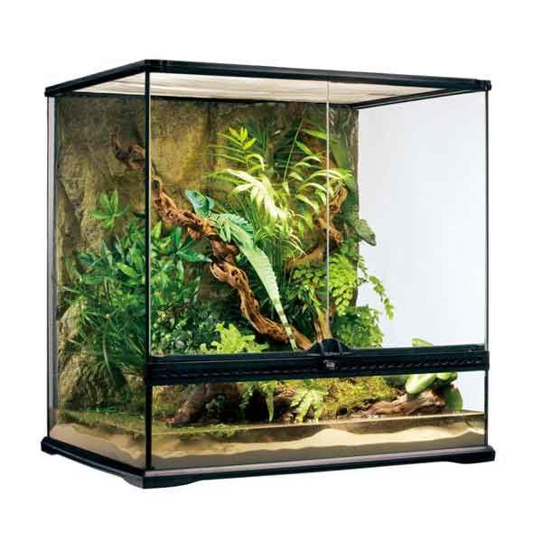 エキゾテラ　グラステラリウム6060 GEX エキゾテラ グラステラリウム 9045 + アクロ RECTANGLE LED