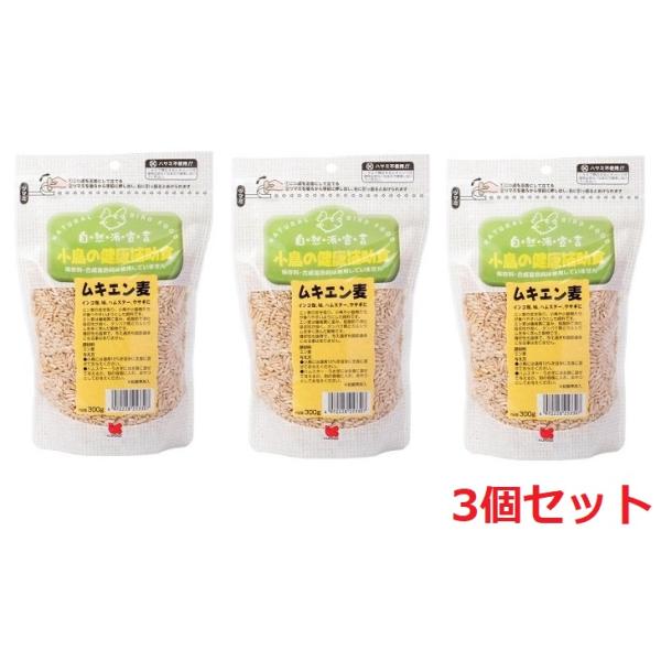 厳選した自然原料を使用し、保存料・合成着色料は一切使用しておりません。小鳥の健康維持・増進に与えて下さい。≪インコ・鳩・ハムスター・ウサギに≫燕麦の皮を取り、小鳥や小動物たちが食べやすいようにした飼料です。燕麦は繊維質に富み、低脂肪で消化吸...