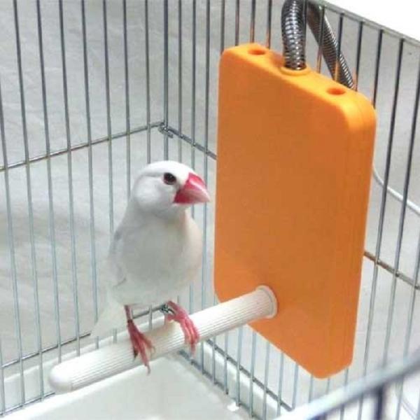 とまり木付きの小鳥用ヒーター！RH-211リニューアル版です。【JAN】4906456570035ケージの側面・内側に設置するタイプのヒーターです。止まり木付きで、寒いときに寄りそうことができ、小鳥自身で近寄ったり離れたりと体温調節が可能で...